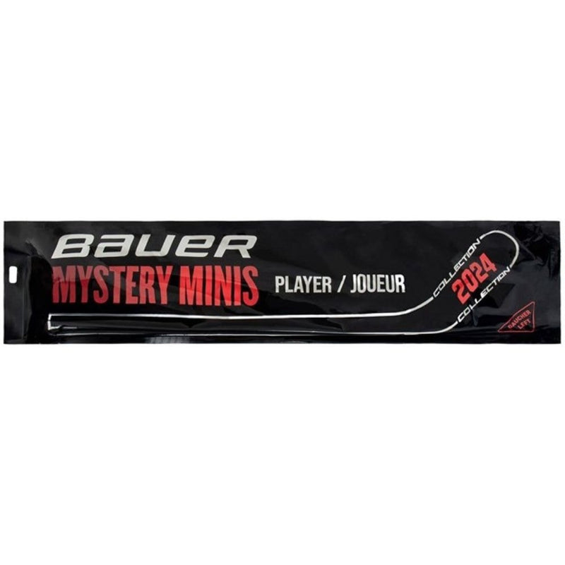 Mystery Mini Hockey Stick, Assorted Designs, 18-in P9479
