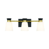 Springwater 3-Light Vanity with Opal Glass, Black
