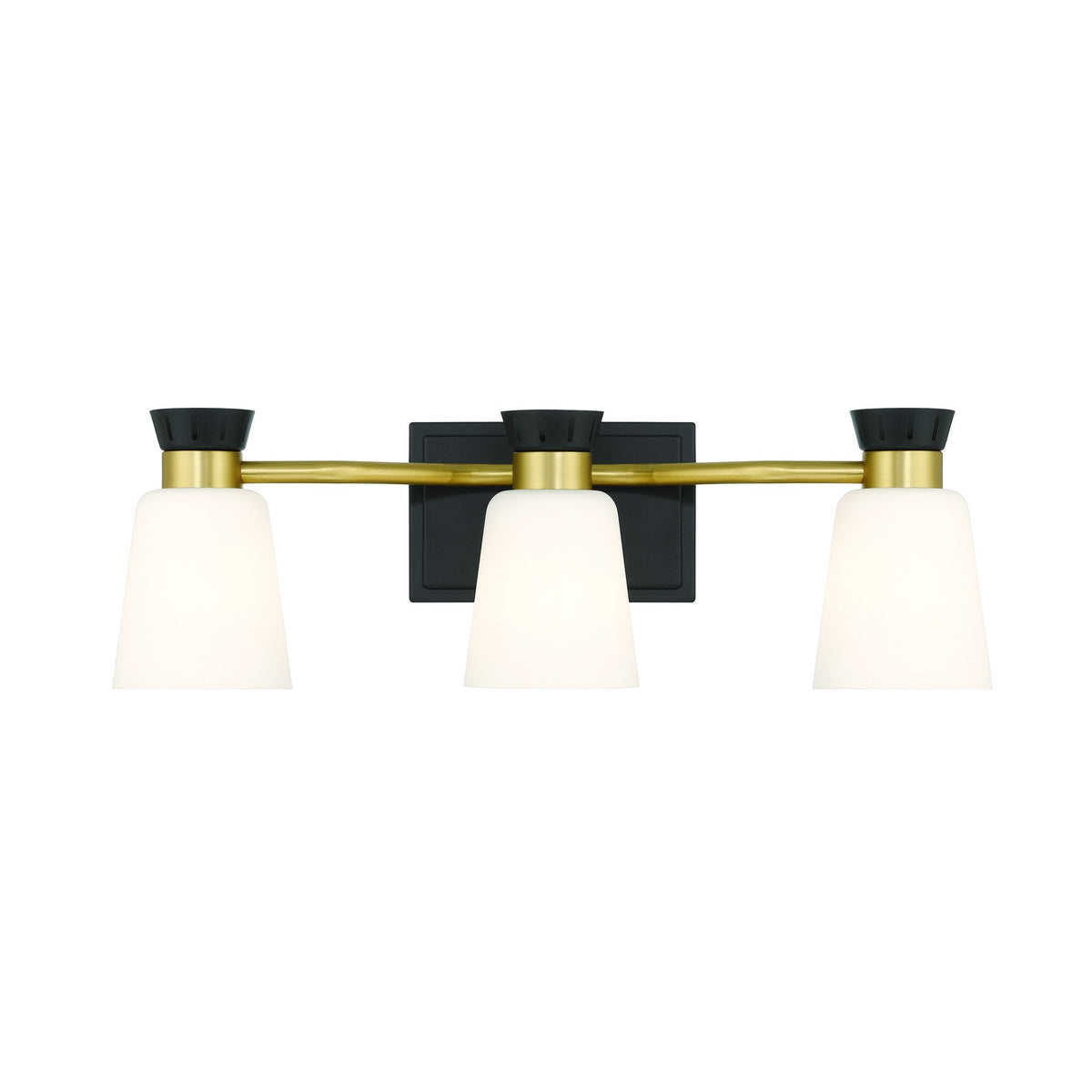 Springwater 3-Light Vanity with Opal Glass, Black