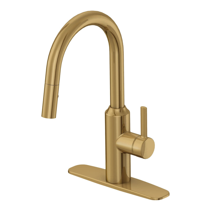 Colby Single-Handle Pull-Down Kitchen Faucet, Brushed Bronze S2909