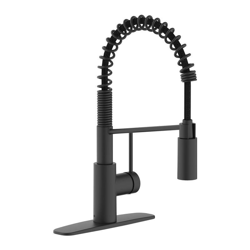 Imi 1-Handle Pull-Down Commercial Style Kitchen Faucet M8830