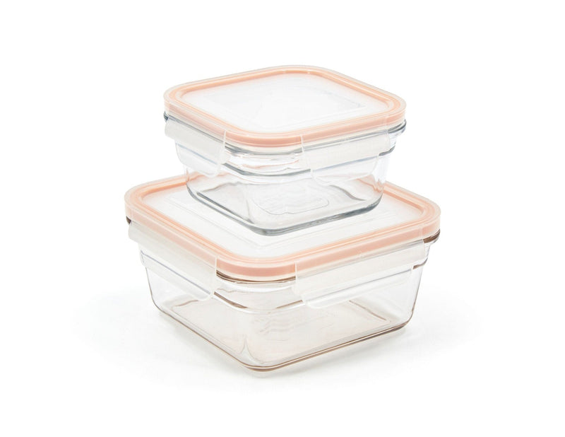 Clear Transparent Food Storage Container Set, 4-pc G4339