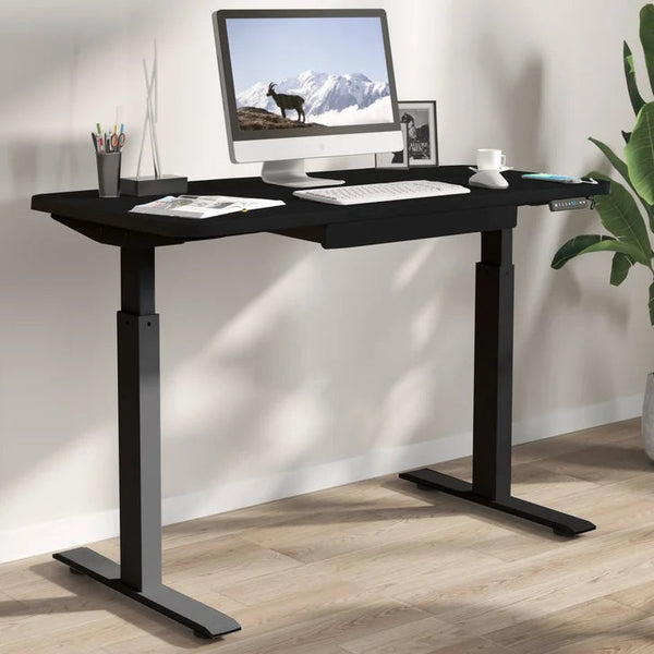 Motionwise 121.9 cm x 61 cm (48 in. x 24 in.) Height Adjustable Desk V6021