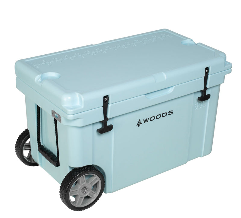 ARCTIC Wheeled Roto-Moulded Cooler with Handle, 65-L, Light Blue J2703